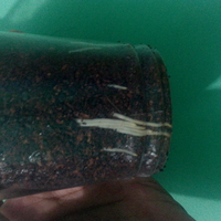 kampung-anggur----part-3