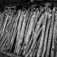 alun-alun-nikonian---part-13