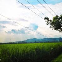 new-evolution-official-lounge-lumia-all-series---part-1