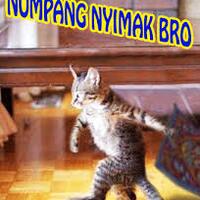 kucing-nyimak-gan