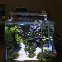 aquascape-for-everyone-learning-and-sharing---part-2