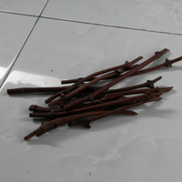 kampung-anggur----part-3