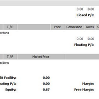 ft-ea-profitable-fully-automated-robot-100-ayo-gabung-bersama-kami