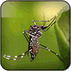 salon-kaskus---menerima-request-avatar---part-2