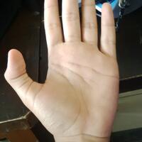 share-tentang-pengetahuan-keilmuan-garis-tangan---palmistry