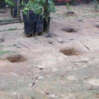 kampung-anggur----part-3