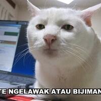 10-bangsa-kucing-purba-terbesar-yang-pernah-ada-di-dunia-pict