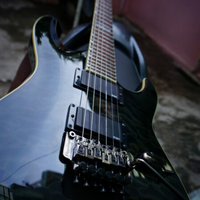 esp-guitars-fans-club-esp-navigator-ltd-edwards-dll