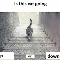 new-illusion-pictures--part2