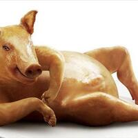 gara-gara-babi-miris-seorang-peternak-dimakan-hidup-hidup-oleh-babinya