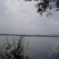 post-image
