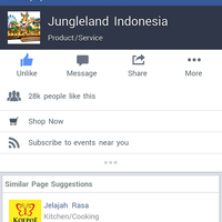official-jungleland-spectacular-anniversary