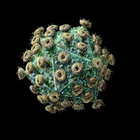 teka-teki-penyebaran-hiv-dalam-tubuh-akhirnya-terpecahkan