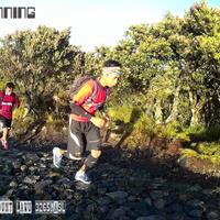 manfaat-lari-trel-trail-running-mountain-running