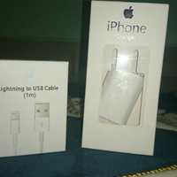 kumpulan-testi-beltsazarstore