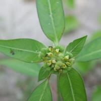 kavling-fujifilm---part-3