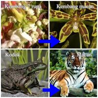 kembang-kobokanbunga-tujuh-rupa-disiapkan-untuk-pernikahan-anak-jokowi