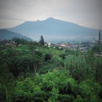 post-image