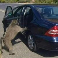 skyadmirer-mmm-celengan-ajaib-30---bulan-mau-mau-mau---part-8