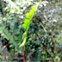 hari-bumi-22-april-2015---happy-earth-day