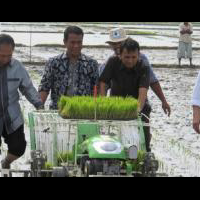 kabar-gembira--pemerintah-gelontorkan-rp114-triliun-untuk-pertanian-sumut