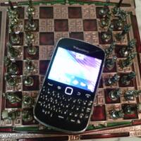 share-repair-blackberry-stuck-75--disable-bims