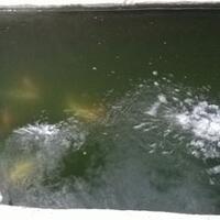 post-image