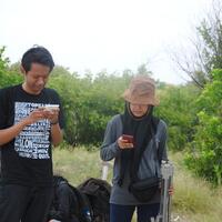 post-image