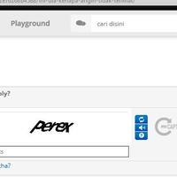 pernah-lo-nemuin-captcha-beginian