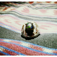 bob-black-opal-banten-atau-kalimaya-nyok-bobers