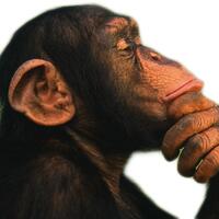 ababil-mampir-di-warnet-ane-gan-gak-liat-nyeselwkwkwk