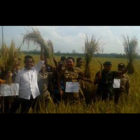 capai-swasembada-pangan-kementan-gandeng-tni-ad