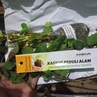 kaskus-peduli-alam-mari-bersama-hijaukan-bumi