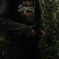 post-image