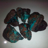 sarang-pecinta-bacan-mania-tunjukkan-bacan-agan-disini-juga-i-love-indonesia