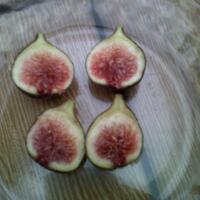 pohon-tin-pohon-ara-buah-tinbuah-ara-untuk-cancer-dan-collesterol-tinggi---part-2