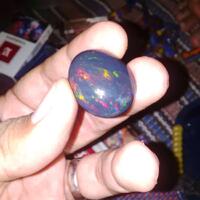 bob-black-opal-banten-atau-kalimaya-nyok-bobers