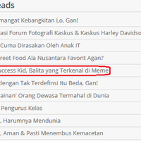 balita-berbaju-hijau-adalah-sam-grinner-the-success-kid