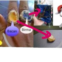 reborn-lounge-bpln---room-250