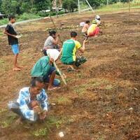 tentara-ini-tak-hanya-tangguh-jaga-perbatasan-di-ntt-tapi-sukses-bina-petani