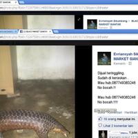 ane-nemu-di-fb-gan-sumpah-kejam-sekali-dia