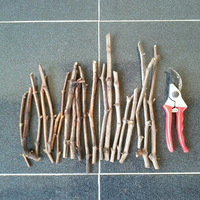 kampung-anggur----part-3