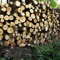 coba-temukan-wanita-telanjang-dalam-foto-ini