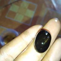 bob-black-opal-banten-atau-kalimaya-nyok-bobers