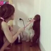 kejam-wanita-cantik-ini-hukum-anjing-berdiri-dengan-2-kaki-belakang