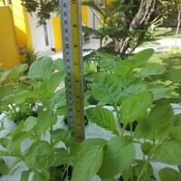 bisnis-center-lounge