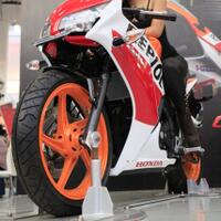 hunting-lomba-honda-photocontest-jfk-2015