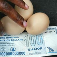 cuma-di-zimbabwe-100-triliun-dolar-hanya-dihargai-rp5000