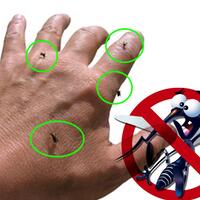 cara-aman-dan-simpel-mengusir-nyamuk-berikut-ini