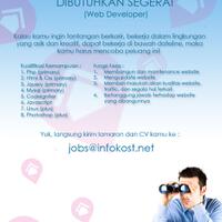 lowongan-web-developer